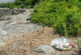 Litter
