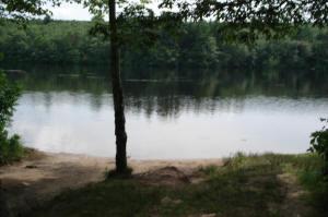 Beach Pond (Division Of Forest Environment) | Rhode Island State Parks