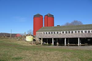 Dame Farm