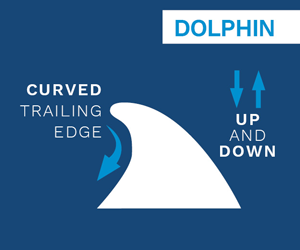 Dolphin Fin Guide
