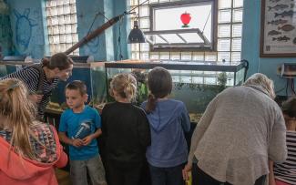 Children gathered around tanks at the Beavertail Aquarium