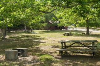 Picnic table and rustic cooking fire pit shaded under trees