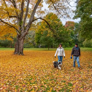 Two walkers with a dog on a leash at Goddard Memorial State Park