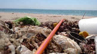 Unsightly, harmful, toxic coastal litter. Misquamicut State Beach, Westerly.