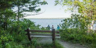 A bench overlooks a forested path with ocean views beyond at the John H. Chafee Preserve