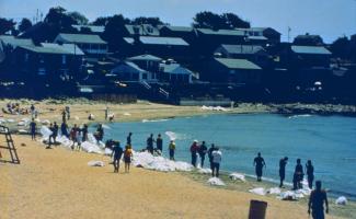 Clean up workers use absorbent material to clean-up and wipe down the shoreline.