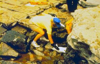 A clean-up worker in the process of skimming oil as part of the clean-up process.