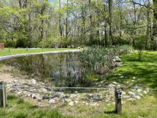 Nature Center Pond 