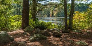 Scenic view of Browning Mill Pond in Arcadia Management Area showing the pond behind a group of trees, granite boulders, and pine needled covered trail