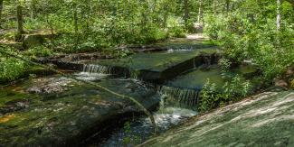 Scenic view of Stepping Stone Falls in Arcadia Management Area showing a rushing river with lush green vegetation