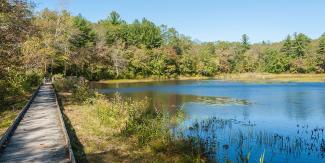 Scenic view of Upper Roaring Brook Accessible Trail in Arcadia Management Area